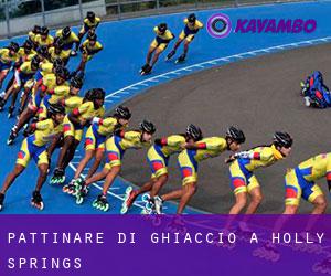 Pattinare di ghiaccio a Holly Springs Pattinare di ghiaccio a Holly Springs