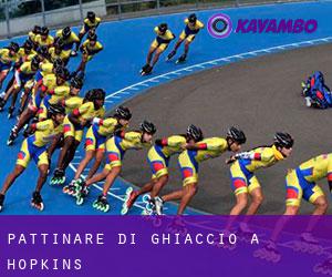 Pattinare di ghiaccio a Hopkins Pattinare di ghiaccio a Hopkins