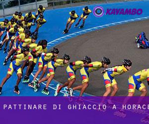 Pattinare di ghiaccio a Horace Pattinare di ghiaccio a Horace