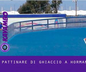 Pattinare di ghiaccio a Horman Pattinare di ghiaccio a Horman