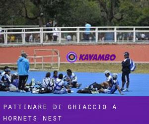 Pattinare di ghiaccio a Hornets Nest Pattinare di ghiaccio a Hornets Nest