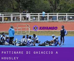 Pattinare di ghiaccio a Housley Pattinare di ghiaccio a Housley