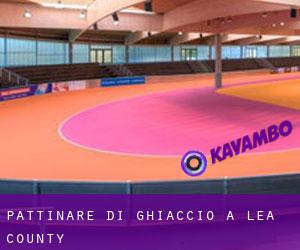 Pattinare di ghiaccio a Lea County Pattinare di ghiaccio a Lea County