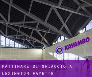 Pattinare di ghiaccio a Lexington-Fayette