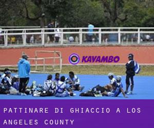 Pattinare di ghiaccio a Los Angeles County Pattinare di ghiaccio a Los Angeles County