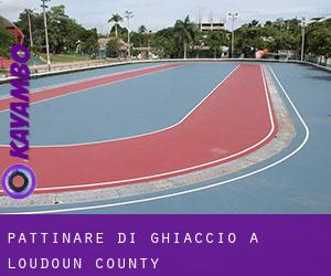 Pattinare di ghiaccio a Loudoun County