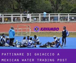 Pattinare di ghiaccio a Mexican Water Trading Post
