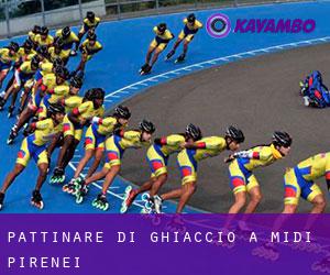 Pattinare di ghiaccio a Midi-Pirenei Pattinare di ghiaccio a Midi-Pirenei