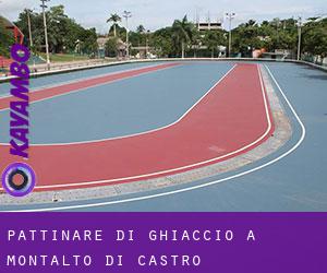 Pattinare di ghiaccio a Montalto di Castro Pattinare di ghiaccio a Montalto di Castro