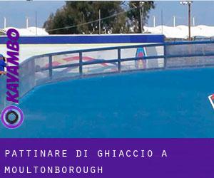 Pattinare di ghiaccio a Moultonborough Pattinare di ghiaccio a Moultonborough