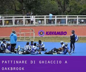 Pattinare di ghiaccio a Oakbrook Pattinare di ghiaccio a Oakbrook