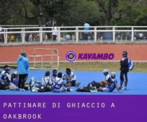 Pattinare di ghiaccio a Oakbrook