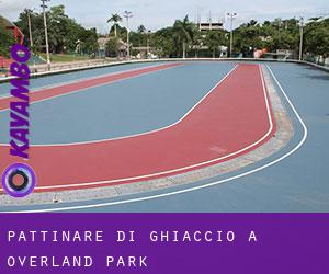 Pattinare di ghiaccio a Overland Park Pattinare di ghiaccio a Overland Park