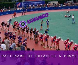 Pattinare di ghiaccio a Powys Pattinare di ghiaccio a Powys