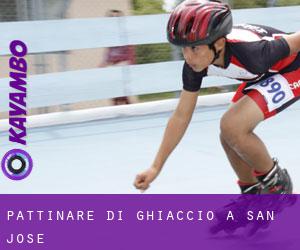 Pattinare di ghiaccio a San Jose Pattinare di ghiaccio a San Jose