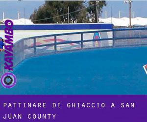 Pattinare di ghiaccio a San Juan County Pattinare di ghiaccio a San Juan County