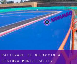 Pattinare di ghiaccio a Sigtuna Municipality Pattinare di ghiaccio a Sigtuna Municipality