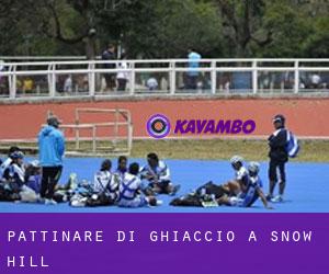 Pattinare di ghiaccio a Snow Hill Pattinare di ghiaccio a Snow Hill