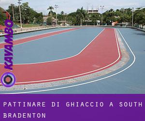 Pattinare di ghiaccio a South Bradenton Pattinare di ghiaccio a South Bradenton