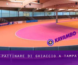 Pattinare di ghiaccio a Tampa Pattinare di ghiaccio a Tampa