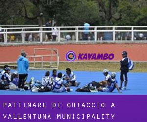 Pattinare di ghiaccio a Vallentuna Municipality Pattinare di ghiaccio a Vallentuna Municipality