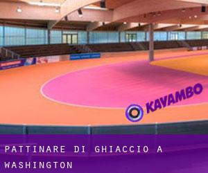 Pattinare di ghiaccio a Washington Pattinare di ghiaccio a Washington