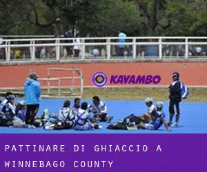 Pattinare di ghiaccio a Winnebago County