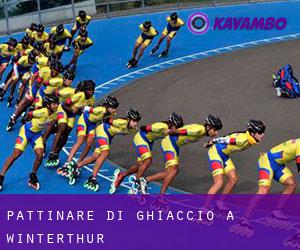 Pattinare di ghiaccio a Winterthur Pattinare di ghiaccio a Winterthur