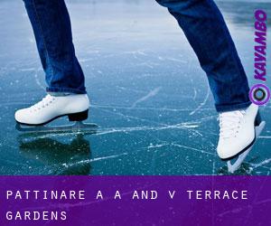 Pattinare a A and V Terrace Gardens