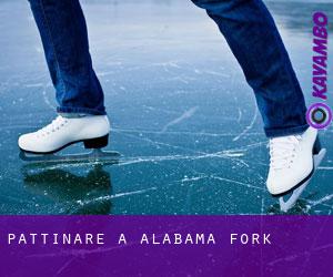 Pattinare a Alabama Fork