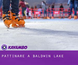 Pattinare a Baldwin Lake