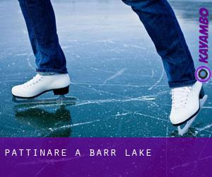Pattinare a Barr Lake