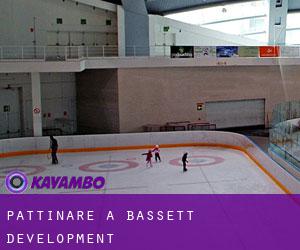 Pattinare a Bassett Development