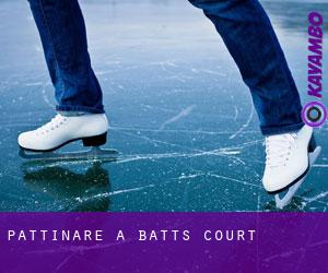 Pattinare a Batts Court
