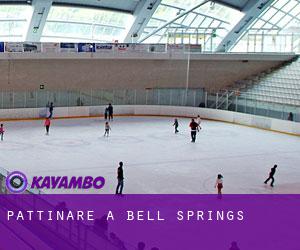 Pattinare a Bell Springs