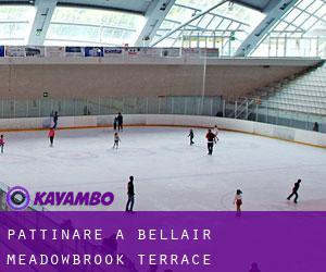 Pattinare a Bellair-Meadowbrook Terrace