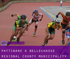 Pattinare a Bellechasse Regional County Municipality