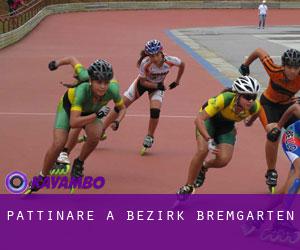Pattinare a Bezirk Bremgarten Pattinare a Bezirk Bremgarten