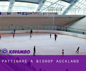 Pattinare a Bishop Auckland