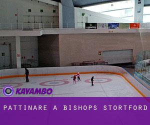 Pattinare a Bishop's Stortford