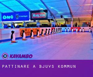 Pattinare a Bjuvs Kommun Pattinare a Bjuvs Kommun