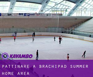 Pattinare a Brachipad Summer Home Area