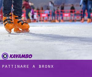 Pattinare a Bronx Pattinare a Bronx