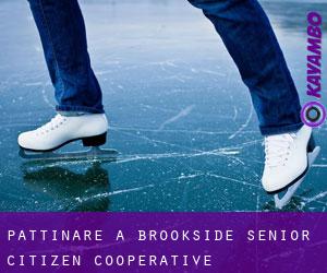 Pattinare a Brookside Senior Citizen Cooperative