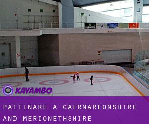 Pattinare a Caernarfonshire and Merionethshire
