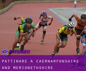 Pattinare a Caernarfonshire and Merionethshire Pattinare a Caernarfonshire and Merionethshire