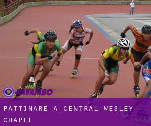 Pattinare a Central Wesley Chapel