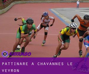 Pattinare a Chavannes-le-Veyron