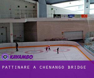 Pattinare a Chenango Bridge