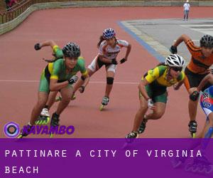 Pattinare a City of Virginia Beach
